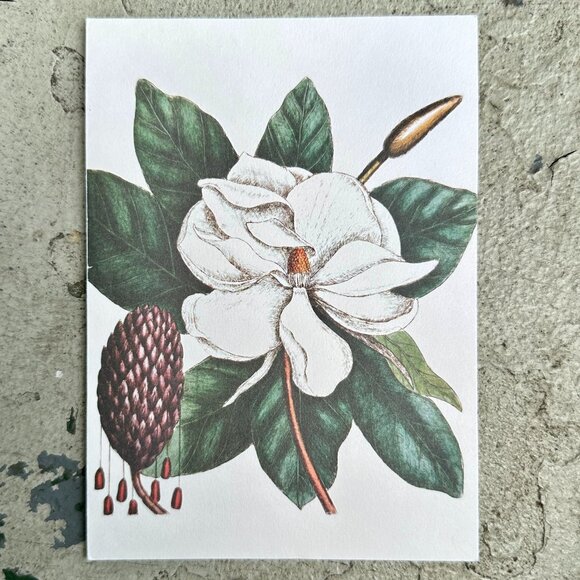 The Laurel Tree of Carolina Blank Card - Picture 1 of 12